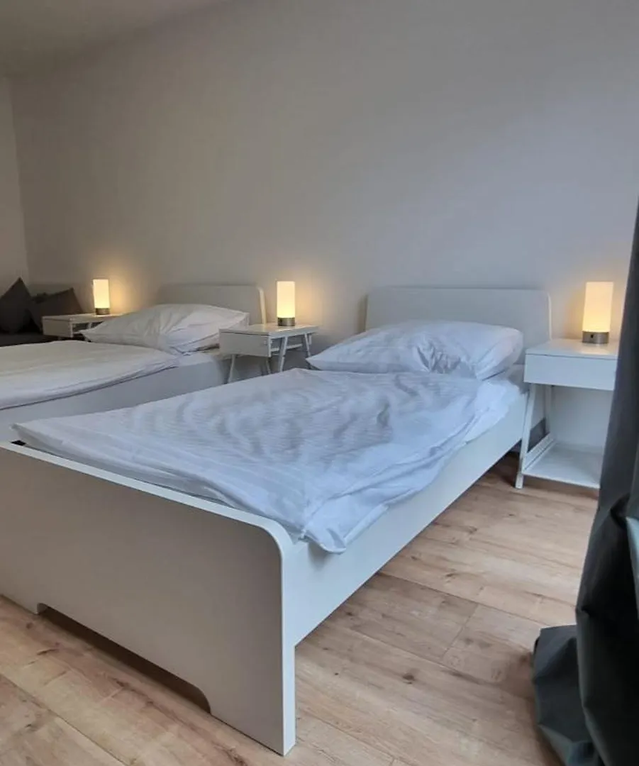 Mc Monti Ruhpolding, 80Qm, Netflix, Speed-Wlan, Tv, Kostenloser Parkplatz Apartment Ruhpolding